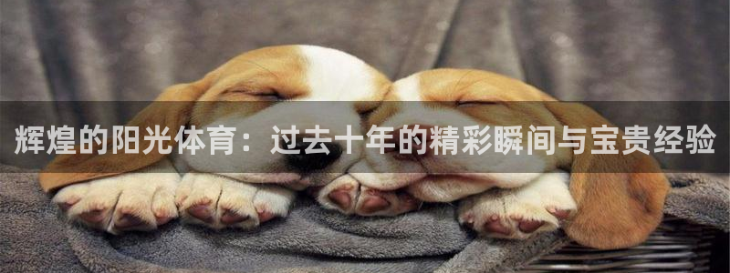 辉煌的阳光体育：过去十年的精彩瞬间与宝贵经验