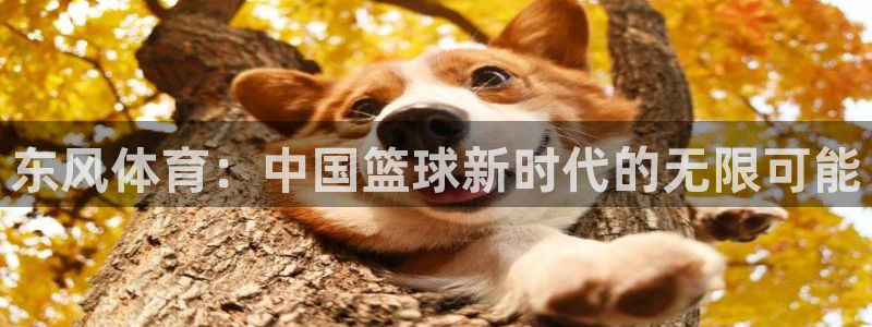 东风体育：中国篮球新时代的无限可能
