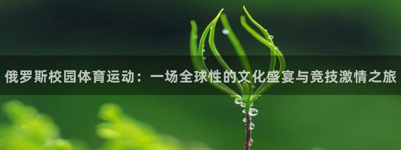 俄罗斯校园体育运动：一场全球性的文化盛宴与竞技激情之旅