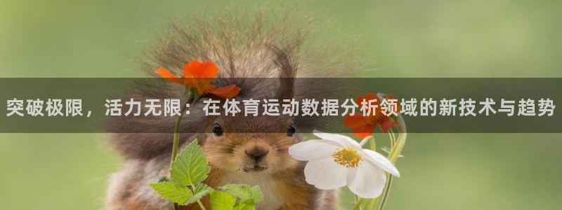 突破极限，活力无限：在体育运动数据分析领域的新技术与趋势