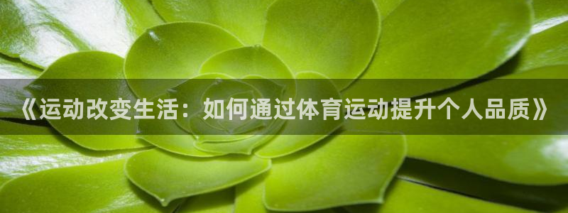 《运动改变生活：如何通过体育运动提升个人品质》